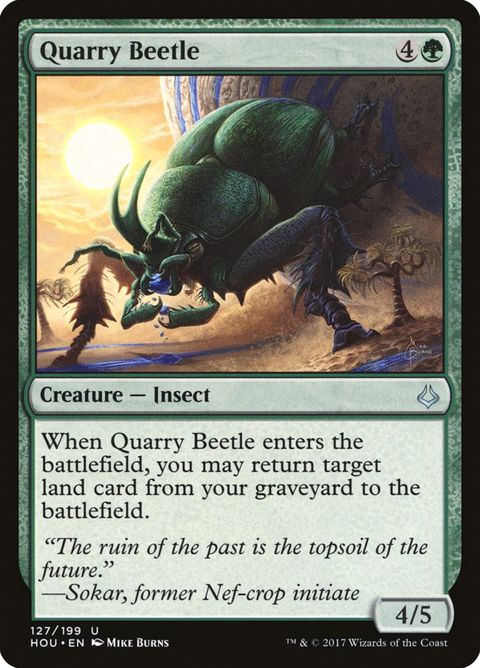 127-quarrybeetle