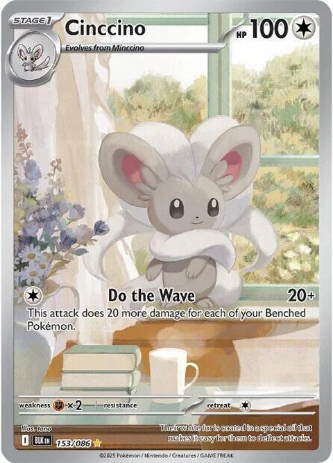 153-cinccino