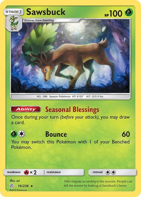 16-sawsbuck
