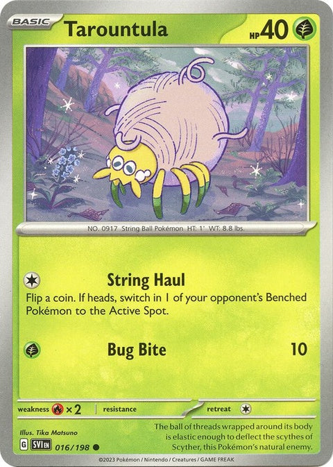 16-tarountula