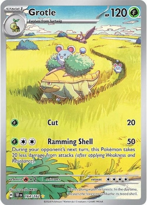 164-grotle