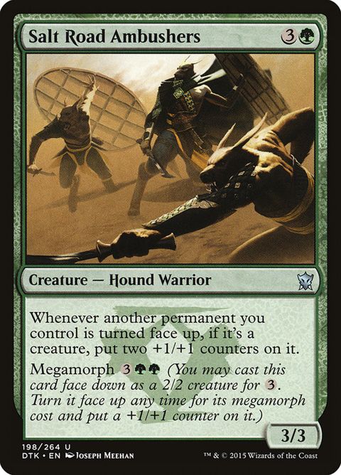 198-saltroadambushers