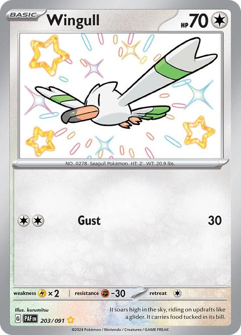 203-wingull
