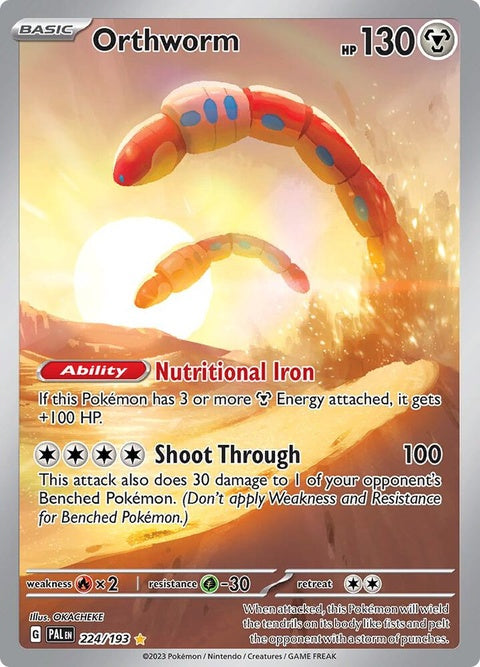 224-orthworm