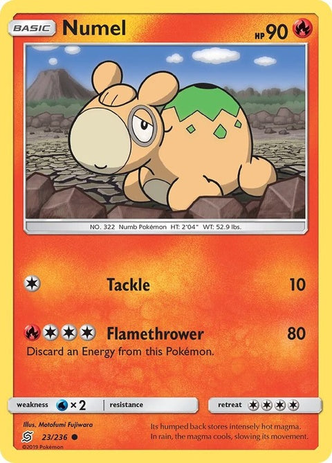 23-numel
