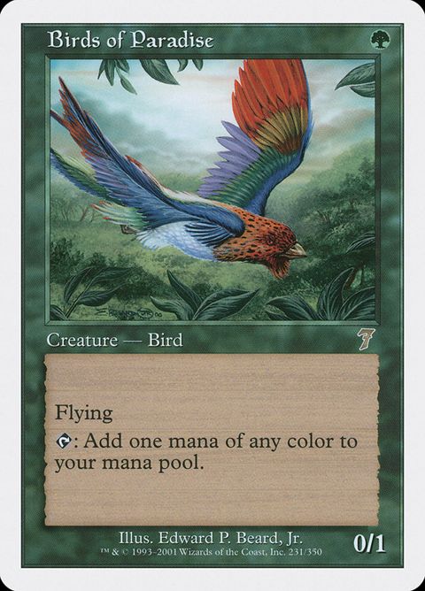 231-birdsofparadise