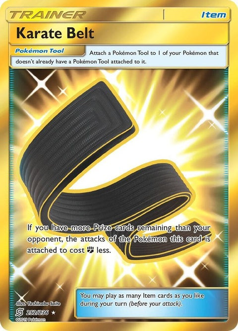 252-karatebelt-secret