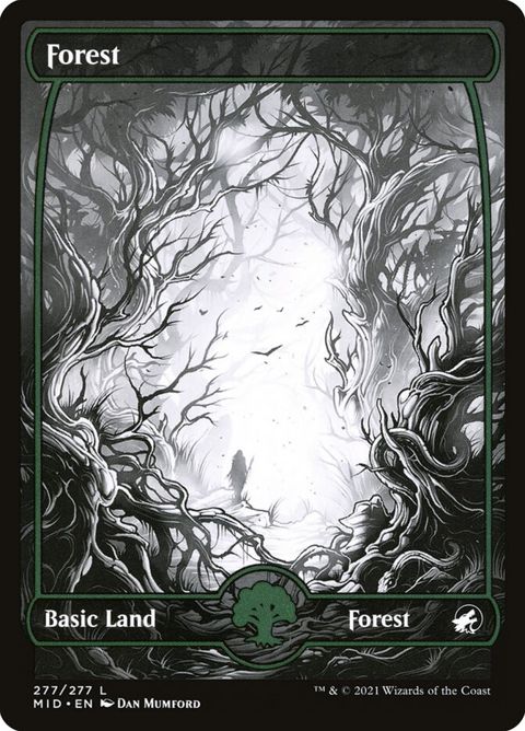 277-forest