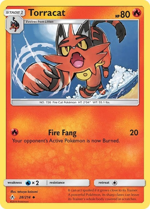 28-torracat