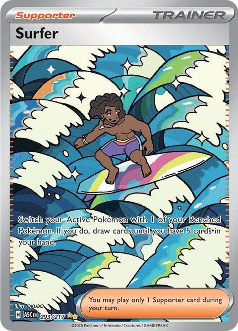 293-surfer
