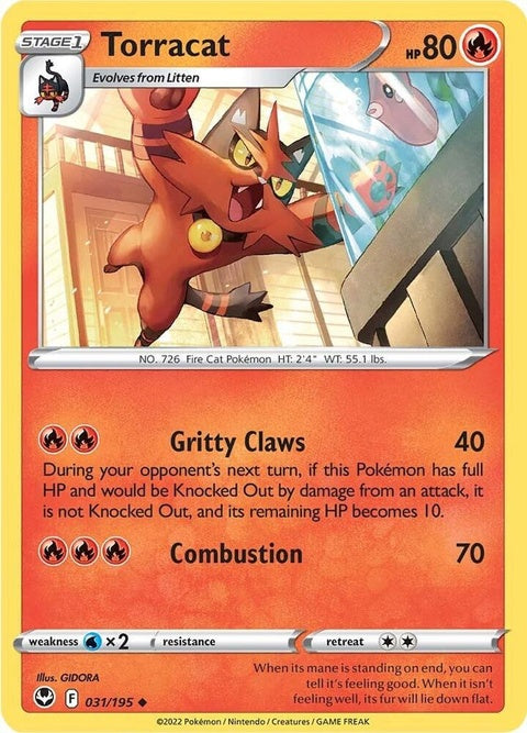 31-torracat