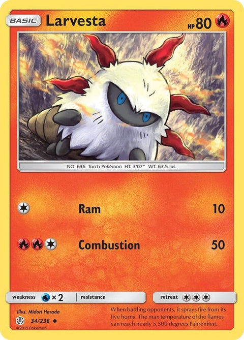 34-larvesta