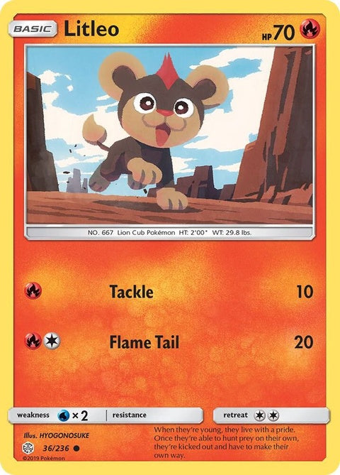 36-litleo