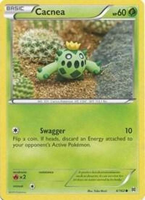 4-cacnea