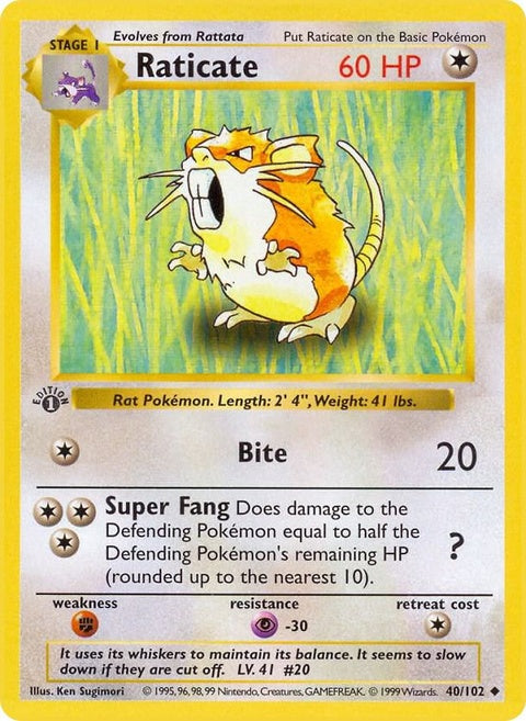 40-raticate
