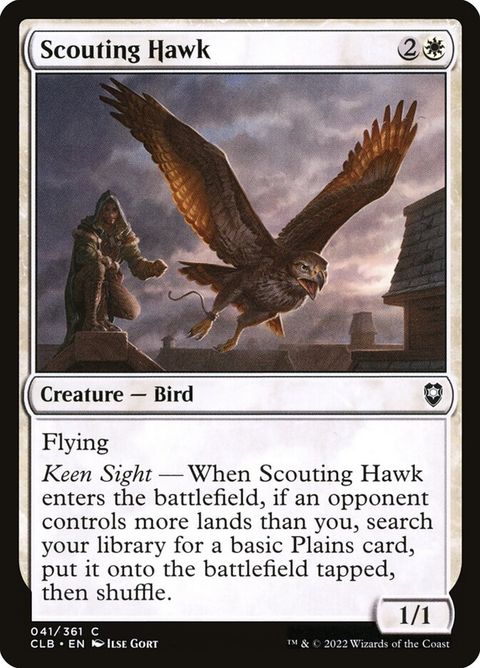 41-scoutinghawk