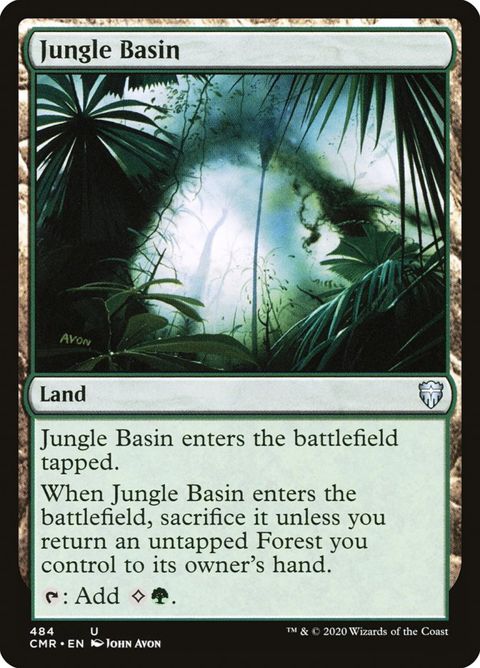 484-junglebasin