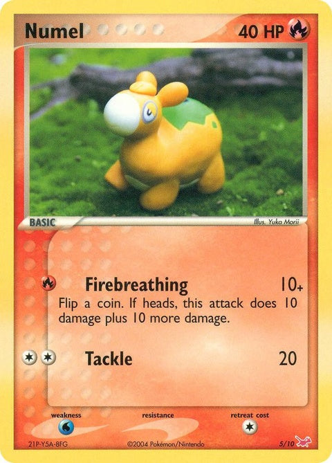 5-numel