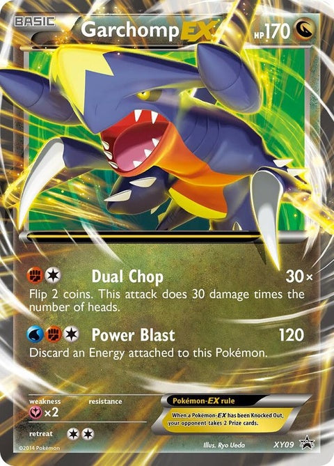 xy09-garchompex