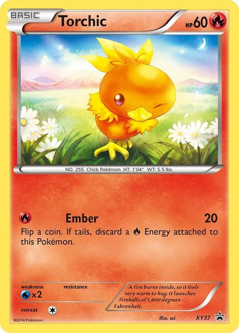 xy37-torchic